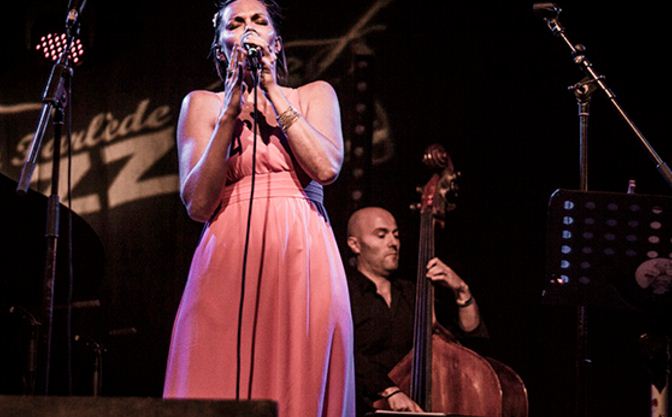 Chanteur musicien mariage, séminaire entreprise